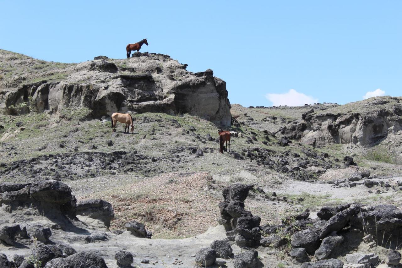 Pachingo Tatacoa Desert La Victoria  Buitenkant foto